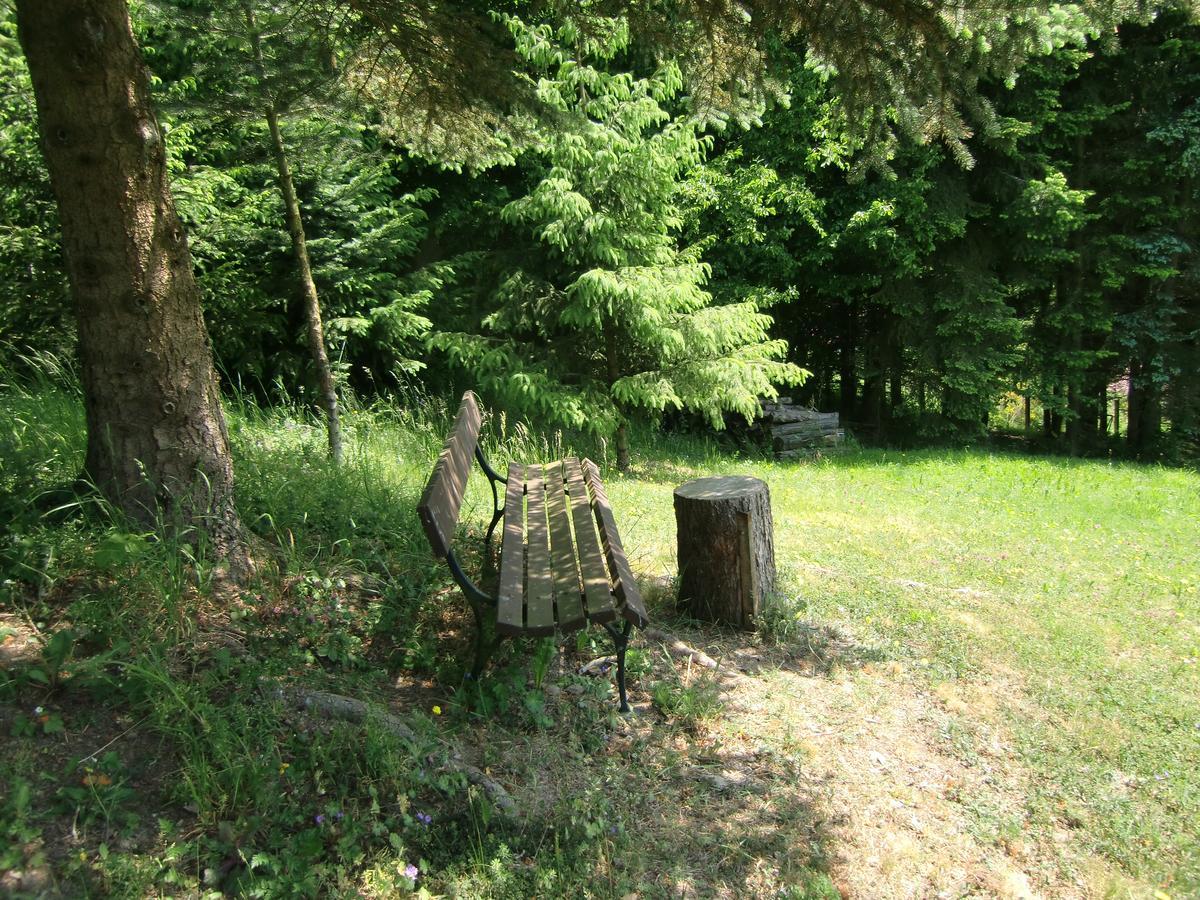 Ferienhaus Haus am Wald Stolberg i. Harz Exterior foto